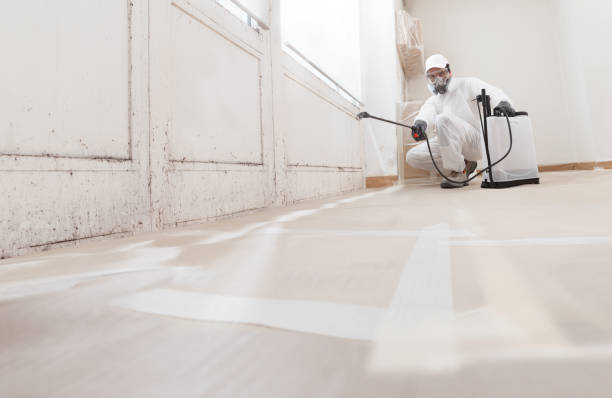 24/7 Emergency Basement Mold Removal experts in Odessa, TX